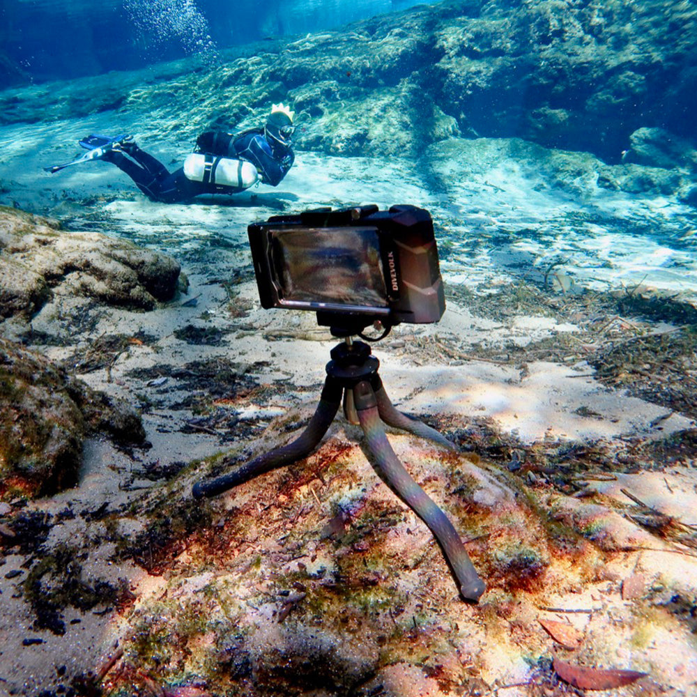 SeaTouch 4 Max on tripod, diver in background