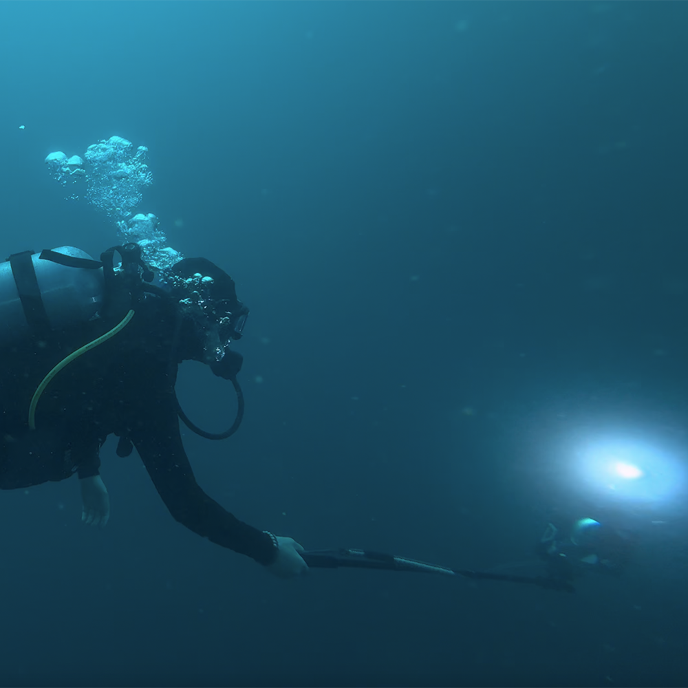 Diver with DiveVolk SeaTouch 4 Max selfie stick for underwater photos