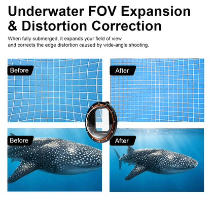 Underwater FOV Expansion and Distortion Correction — before and after comparison showing wider field of view and corrected edge distortion in both pool tiles and whale shark footage