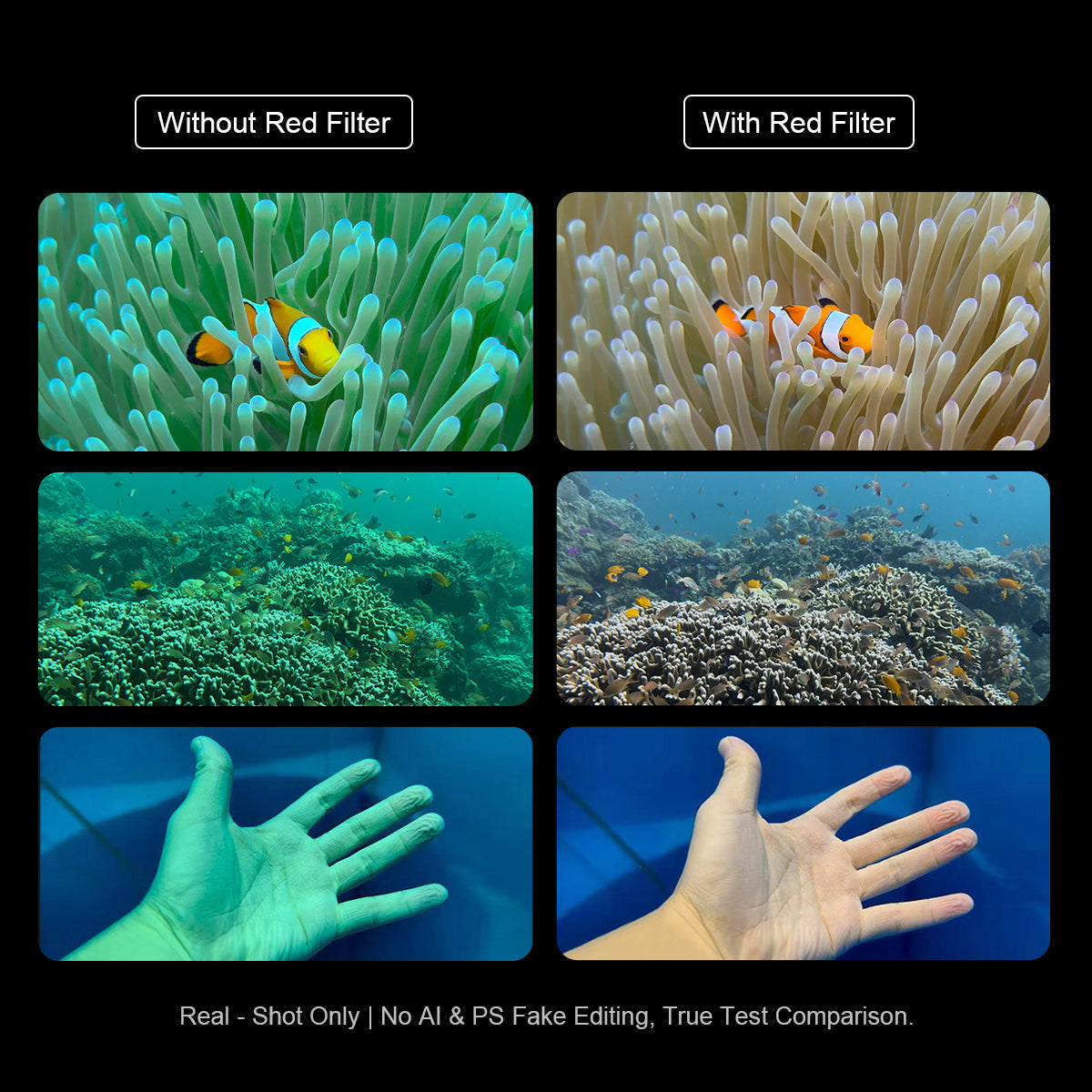 Before-and-after comparison showing how a red filter restores natural warm colors underwater, removing blue-green cast on clownfish, coral reef, and skin tone photos ¡ª real shots with no editing.