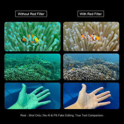 Before-and-after comparison showing how a red filter restores natural warm colors underwater, removing blue-green cast on clownfish, coral reef, and skin tone photos ¡ª real shots with no editing.