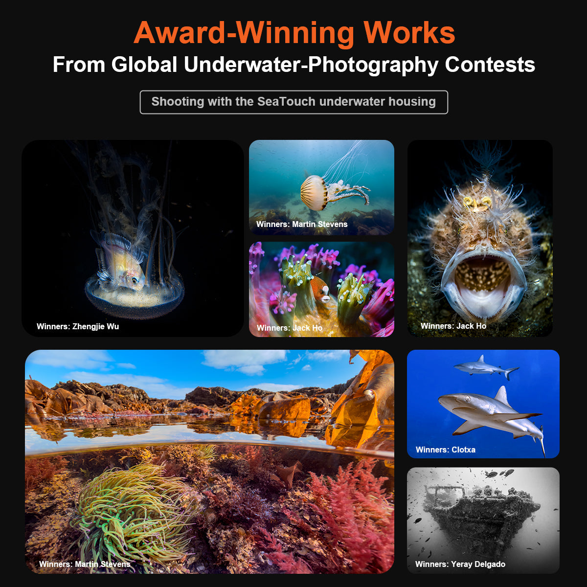 Award-Winning Works from Global Underwater Photography Contests shot with DIVEVOLK SeaTouch underwater housing ¡ª featuring winning photos by Zhengjie Wu, Martin Stevens, Jack Ho, Clotxa, and Yeray Delgado, showcasing jellyfish, coral reef, frogfish, sharks, split-shot seascape, and shipwreck.